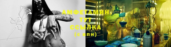 мет Алексин