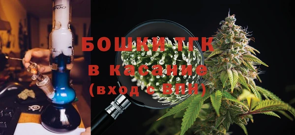 мет Алексин